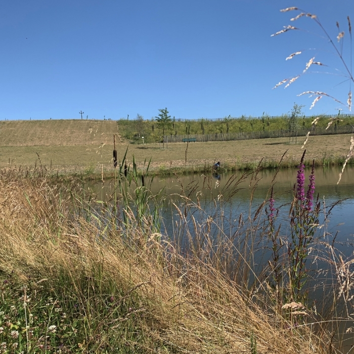 image Eau pluviale / Inondation